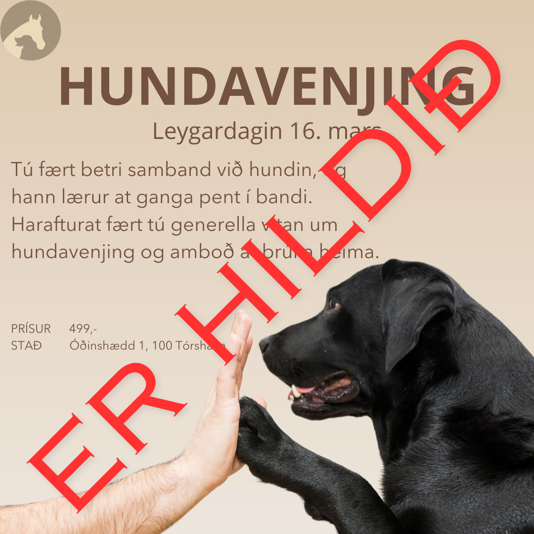Teori og Venjing við Helene Grode
