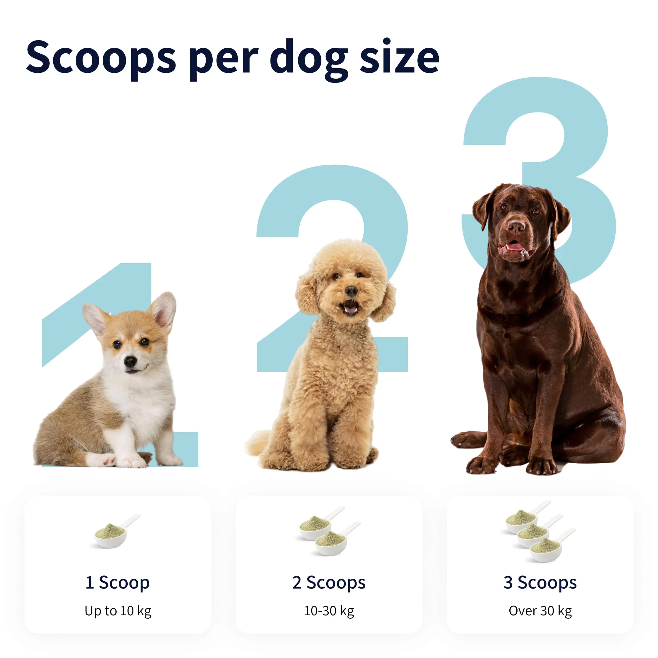 Tipaw - Dental Care