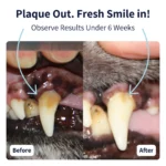 Tipaw - Dental Care
