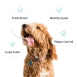 Tipaw - Dental Care