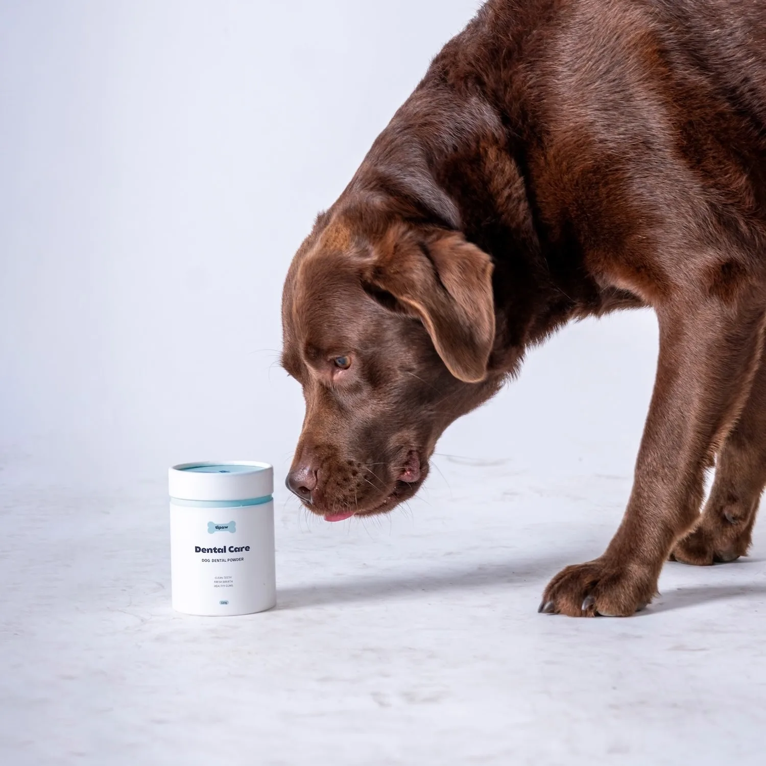 Tipaw - Dental Care