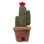 B&B Pawtanic® Garden