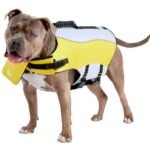 Life Vest, Yellow, XL
