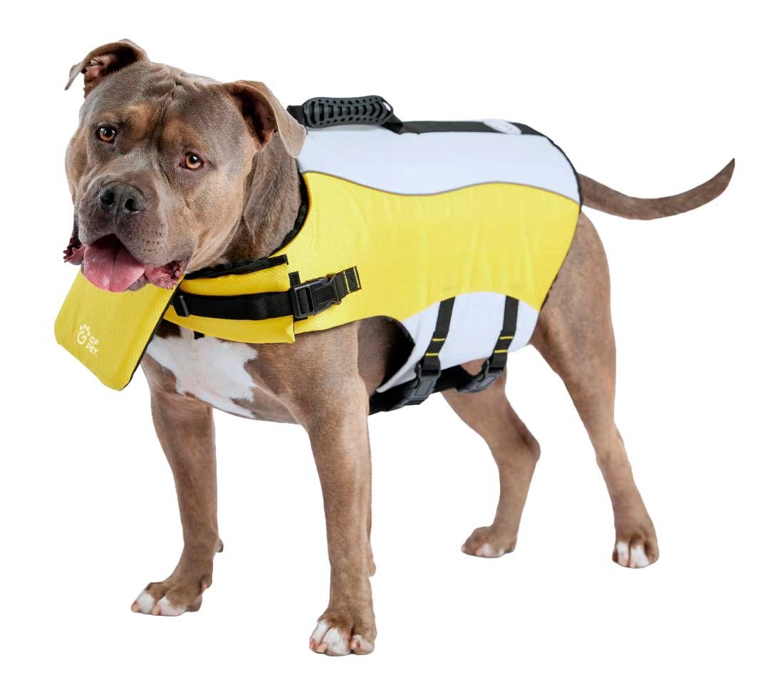Life Vest, Yellow, XL