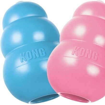 KONG Puppy M 9 x 6 cm Mix
