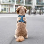 Comfort Walk Air™ Hundareim