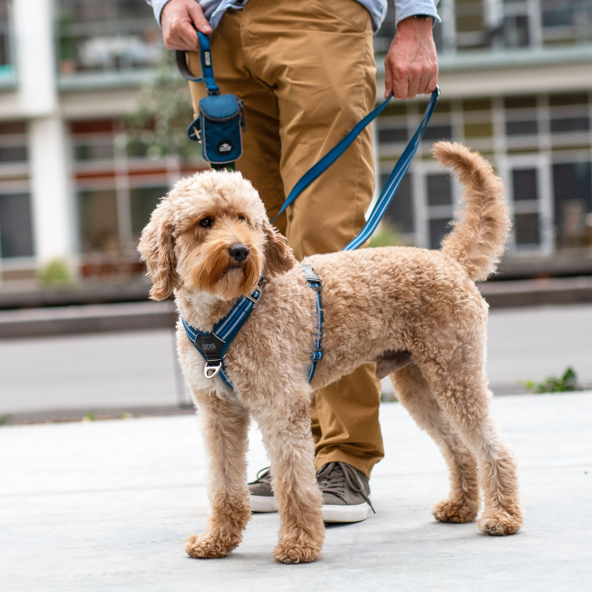Comfort Walk Air™ Hundareim