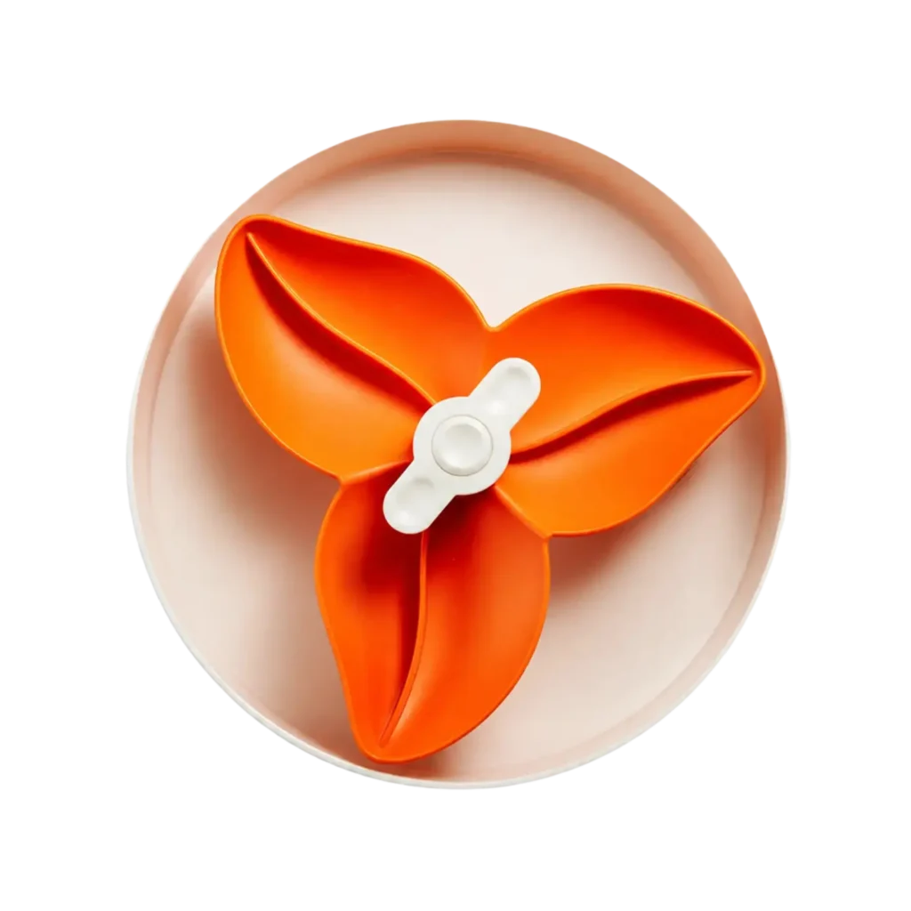 SPIN Bougainvillea, Orange