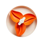 SPIN Bougainvillea, Orange