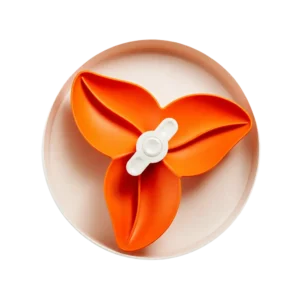 SPIN Bougainvillea, Orange