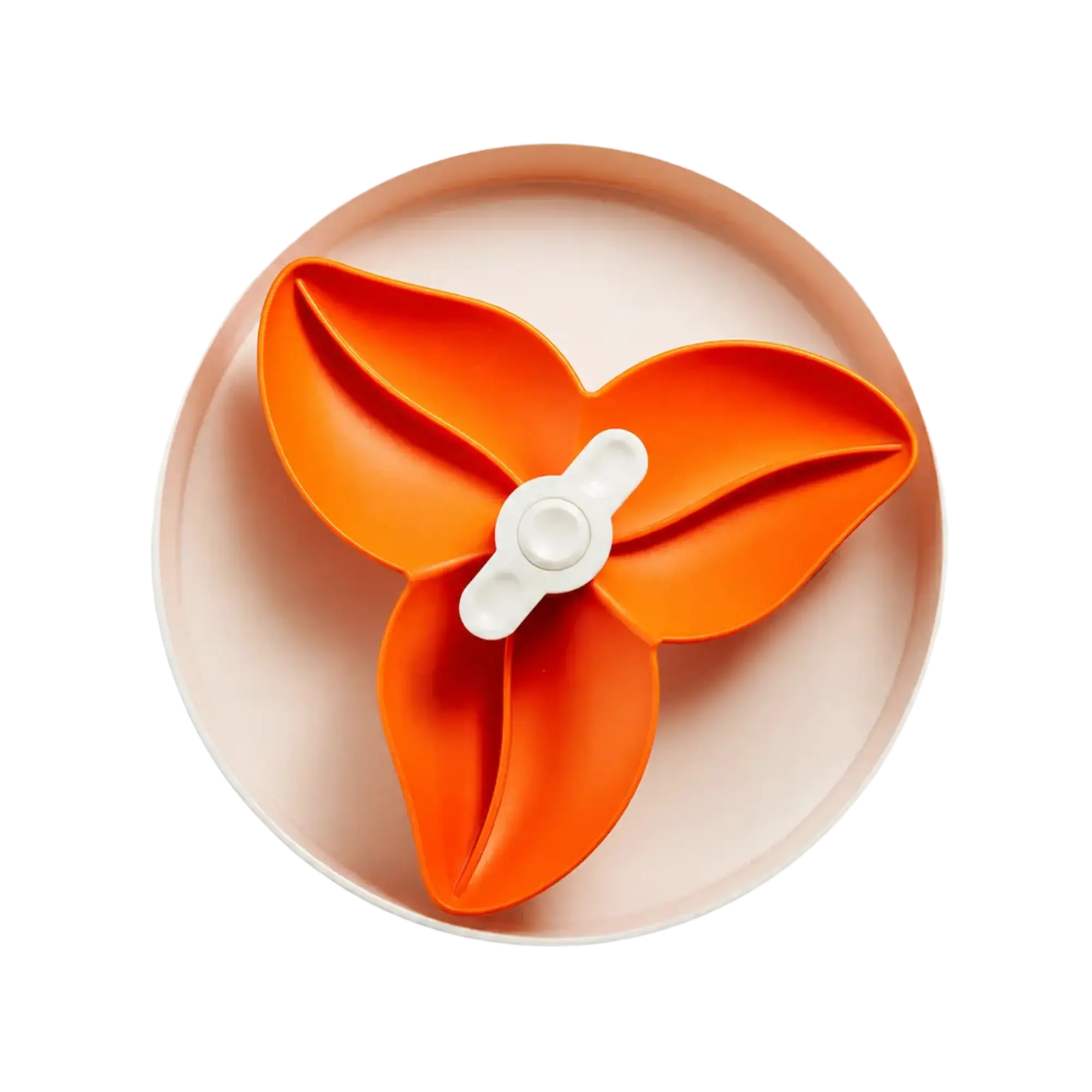 SPIN Bougainvillea, Orange