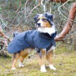 Paikka Visibility vinterfrakke