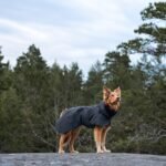 Paikka Visibility vinterfrakke