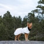 Paikka Visibility vinterfrakke