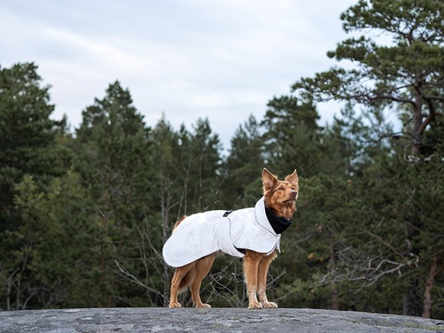 Paikka Visibility vinterfrakke