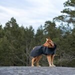 Paikka Visibility vinterfrakke