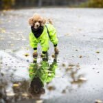 Paikka Rain Suit