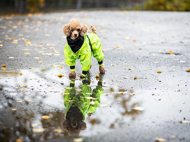 Paikka Rain Suit