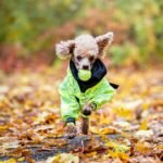 Paikka Rain Suit