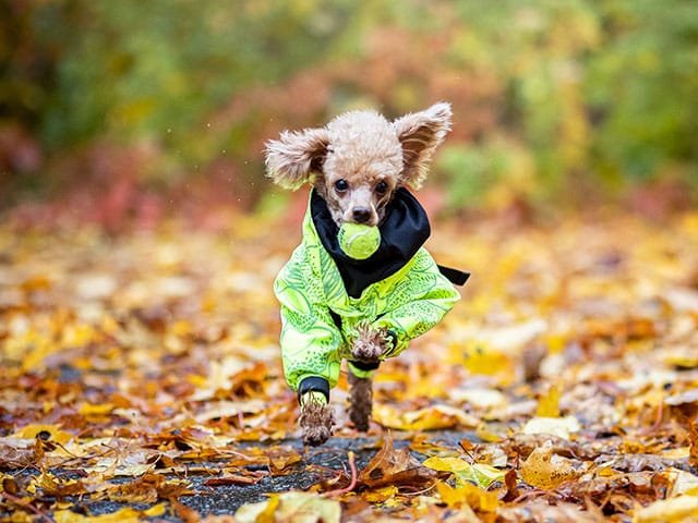 Paikka Rain Suit