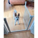 DogSpace Lassie Pressure Fitted Pet gate, white