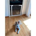DogSpace Lassie Pressure Fitted Pet gate, white