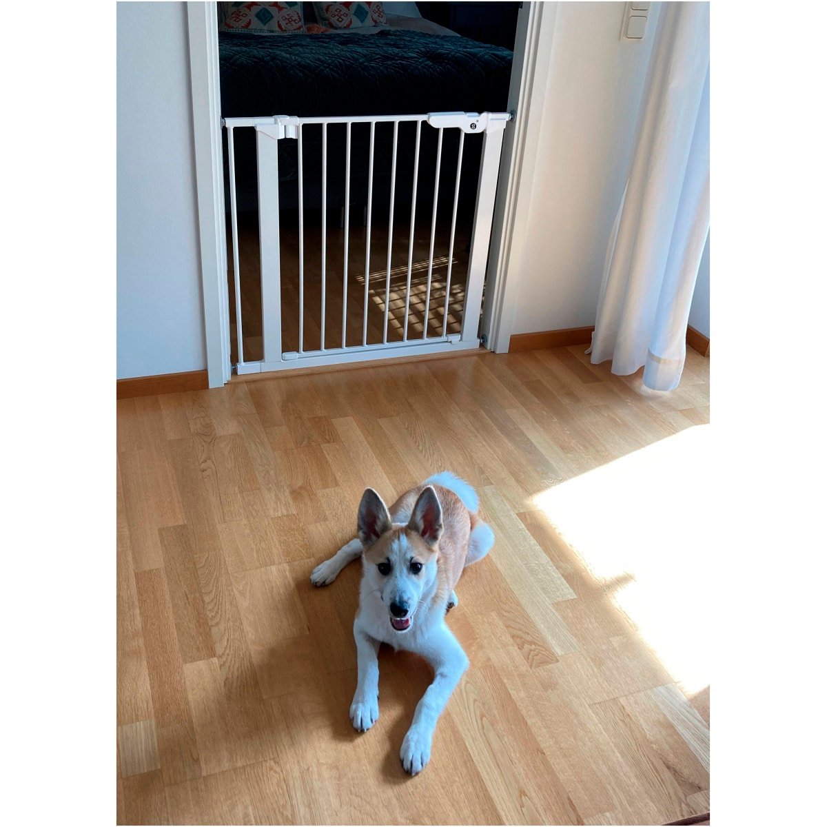 DogSpace Lassie Pressure Fitted Pet gate, white
