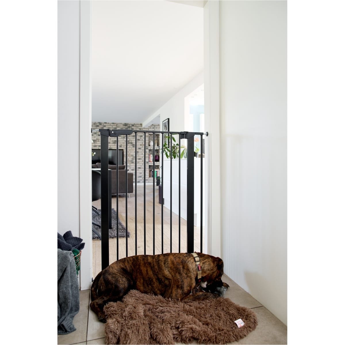 DogSpace Bonnie extra tall Pressure Fitted Pet gate, black