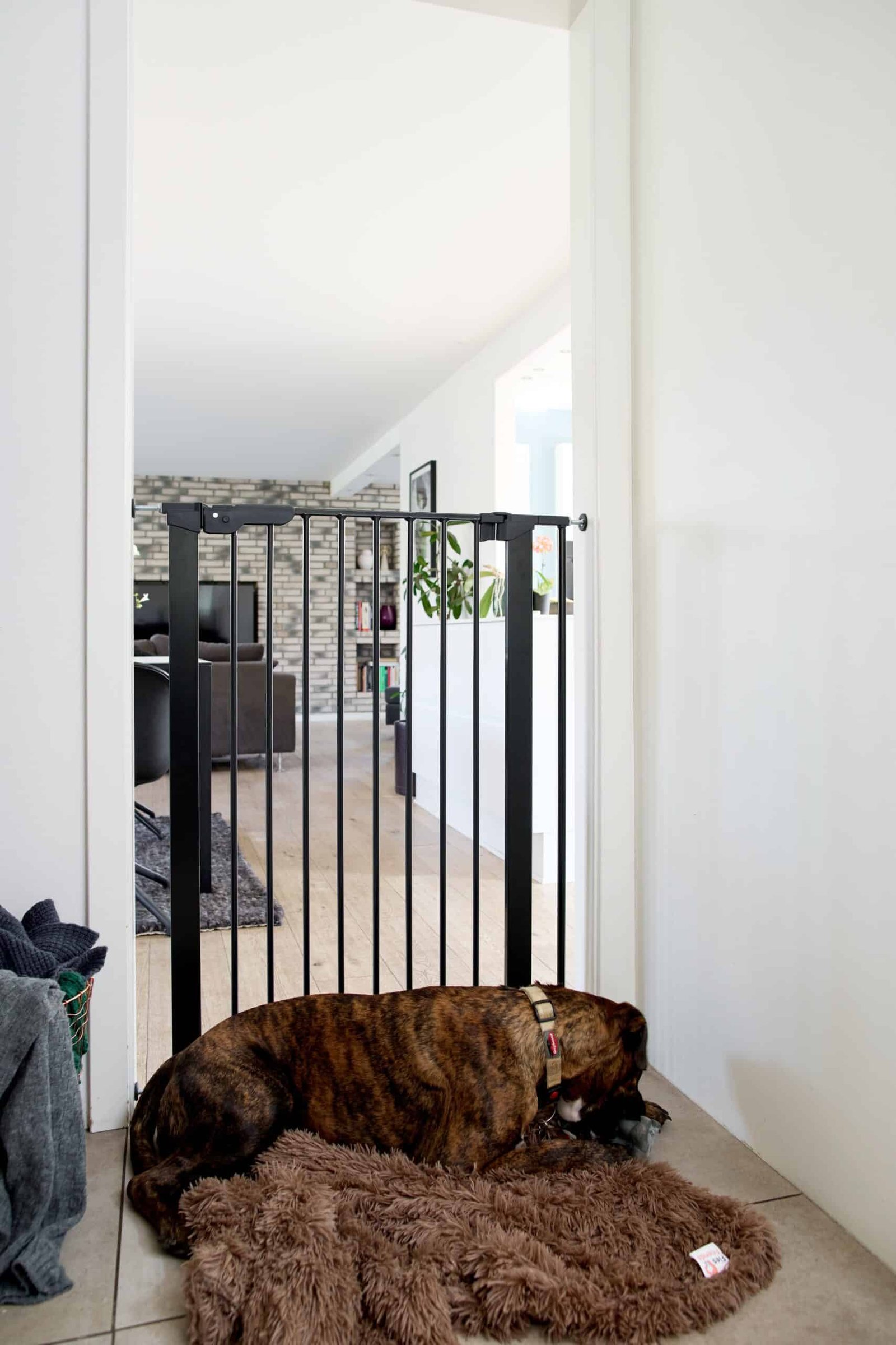 DogSpace Bonnie extra tall Pressure Fitted Pet gate, black