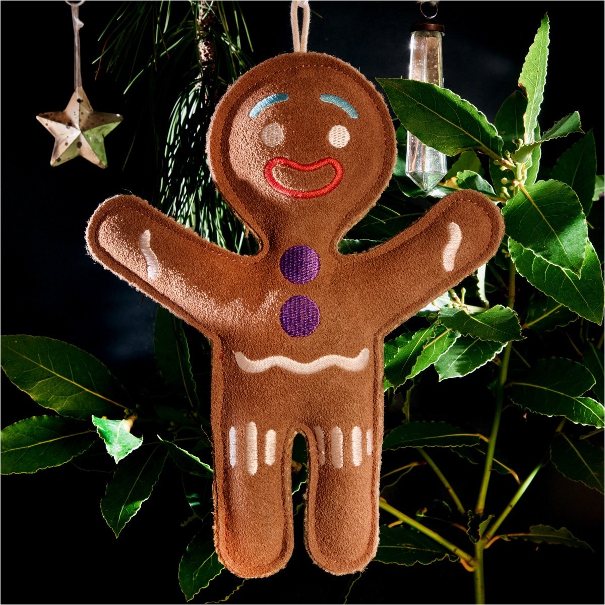 Jean Genie the Gingerbread Man