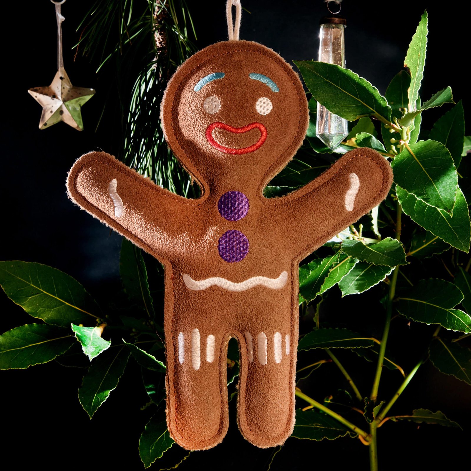 Jean Genie the Gingerbread Man