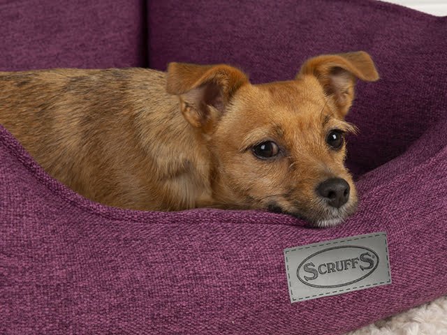 Scruffs Manhattan seng