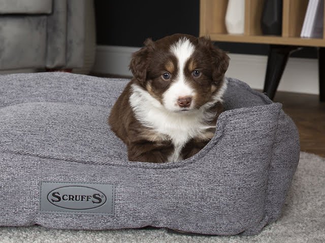 Scruffs Manhattan seng