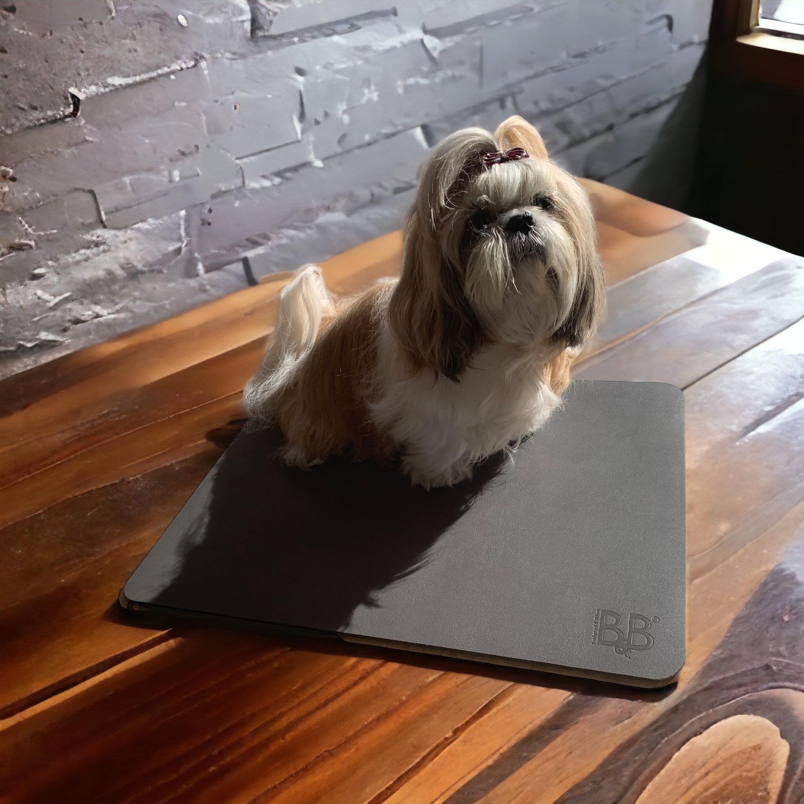 B&B Grooming måtte