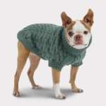 Charlet Sweater, Sage