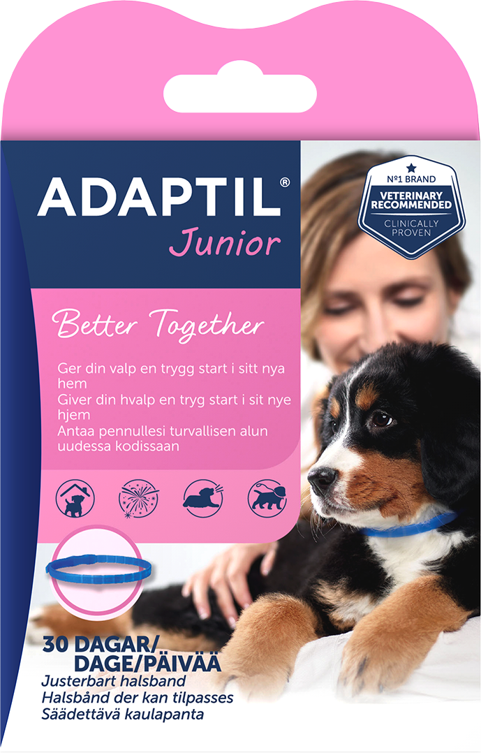 Adaptil Junior Halsbånd