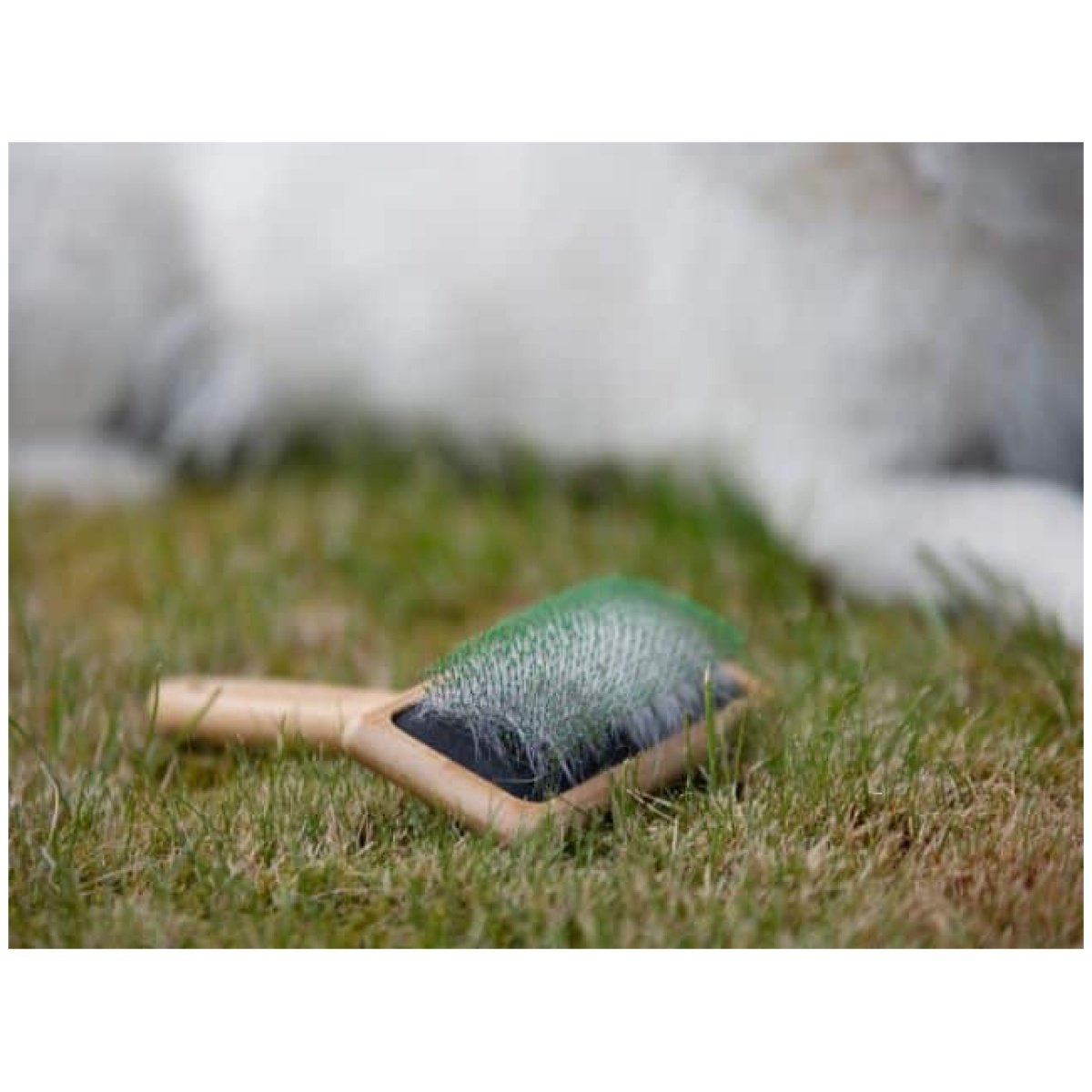 Bamboo Groom karte med dubber, large