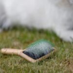 Bamboo Groom karte med dubber, large