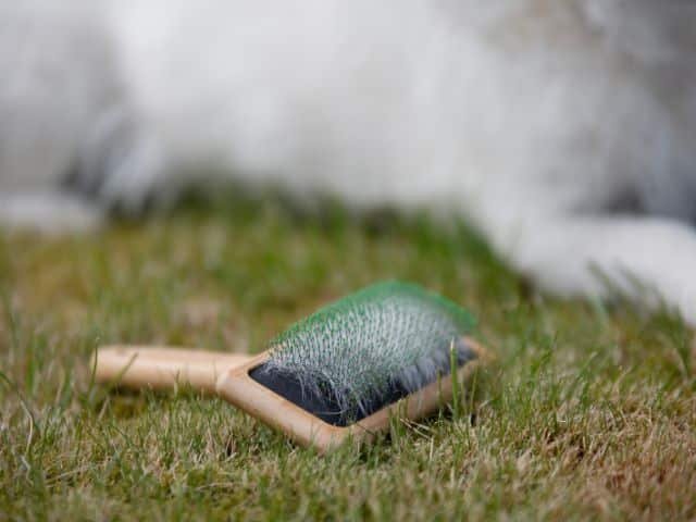 Bamboo Groom karte med dubber, large