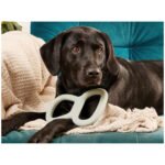Beco Natural Rubber Tugger
