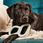 Beco Natural Rubber Tugger