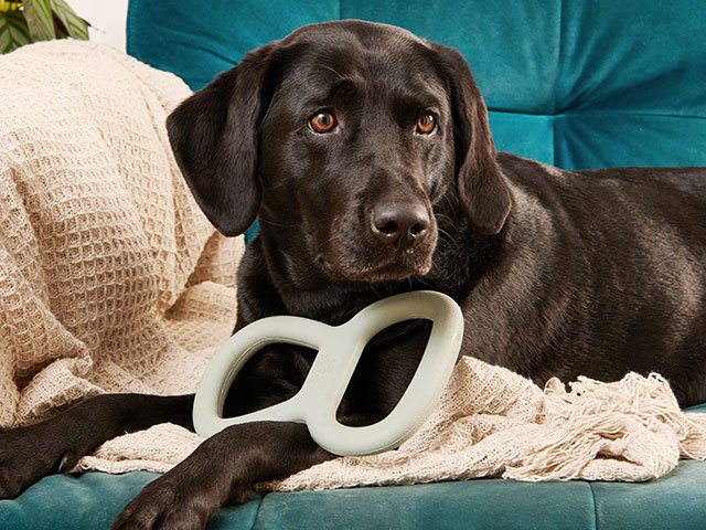 Beco Natural Rubber Tugger