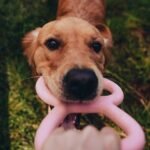 Beco Natural Rubber Tugger