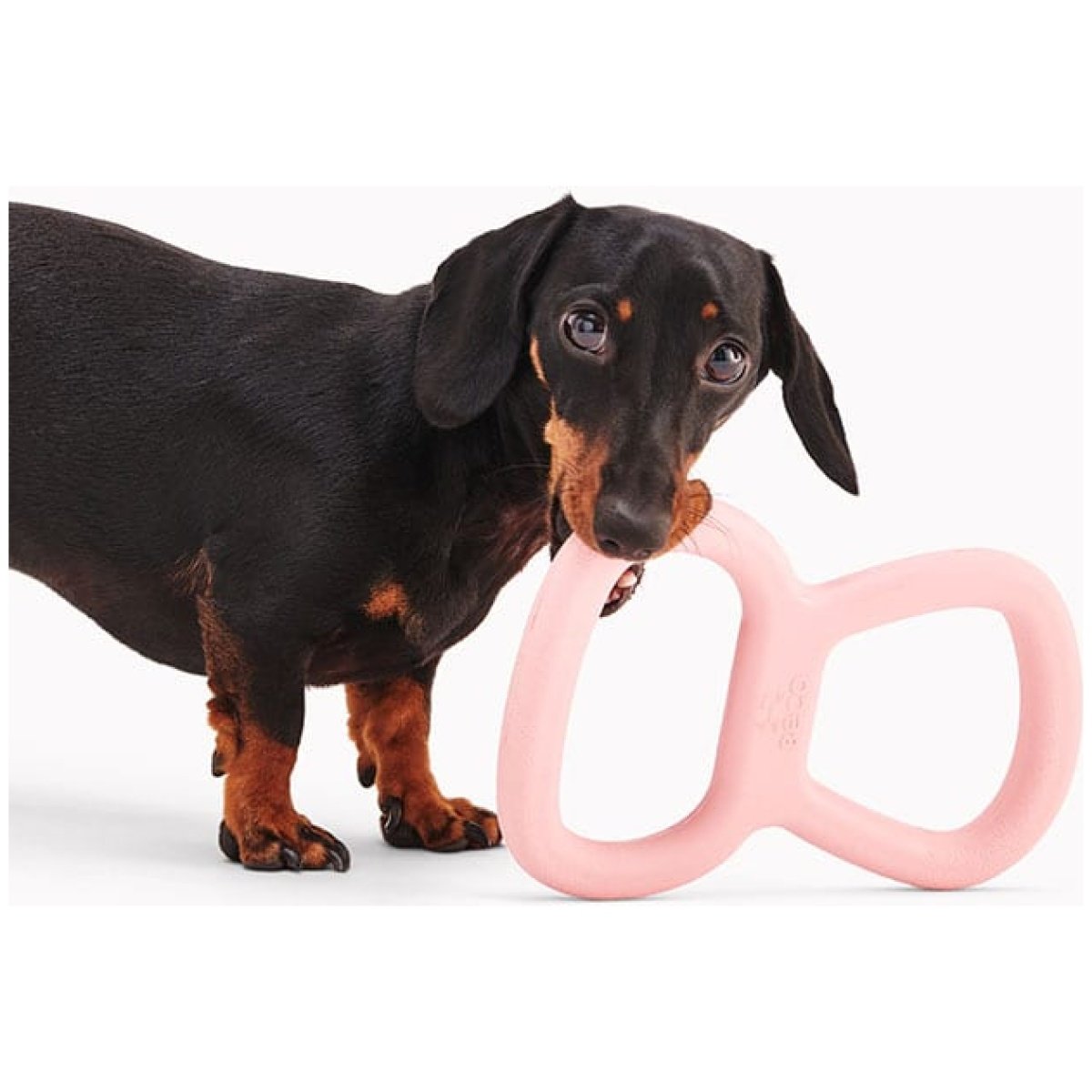 Beco Natural Rubber Tugger