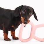 Beco Natural Rubber Tugger