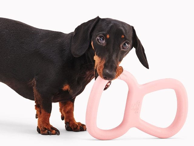 Beco Natural Rubber Tugger