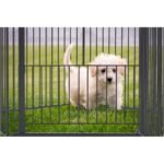 DogSpace King Mommy+ Supreme PuppyStay Pen / Room, Black